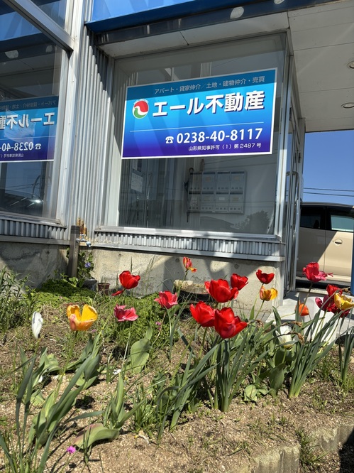 IMG_2156.JPEG