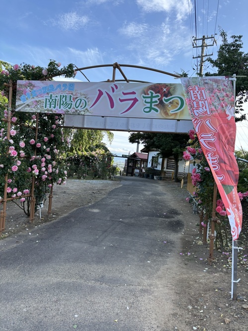 IMG_2371.JPEG